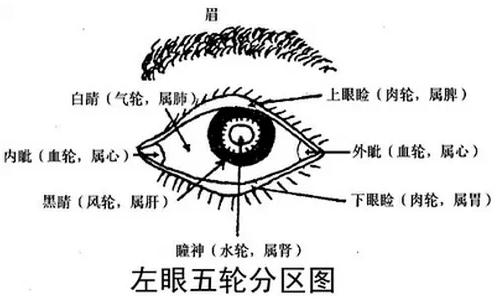 脾虚眼袋大，肾虚眼袋黑