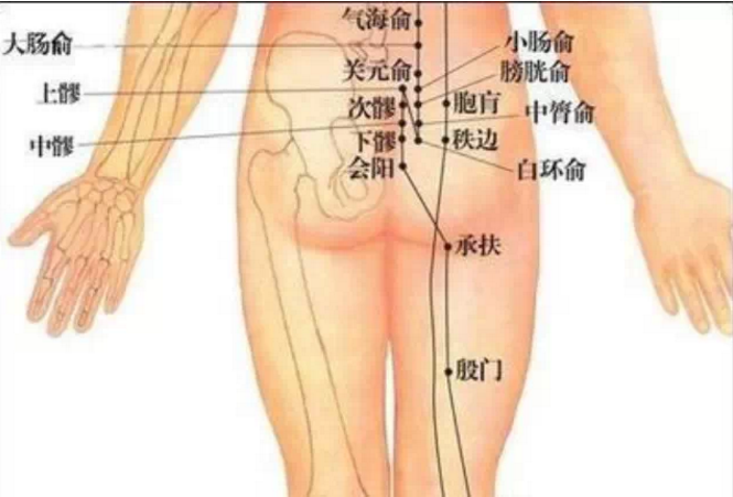 臀部疏通经络的重要性